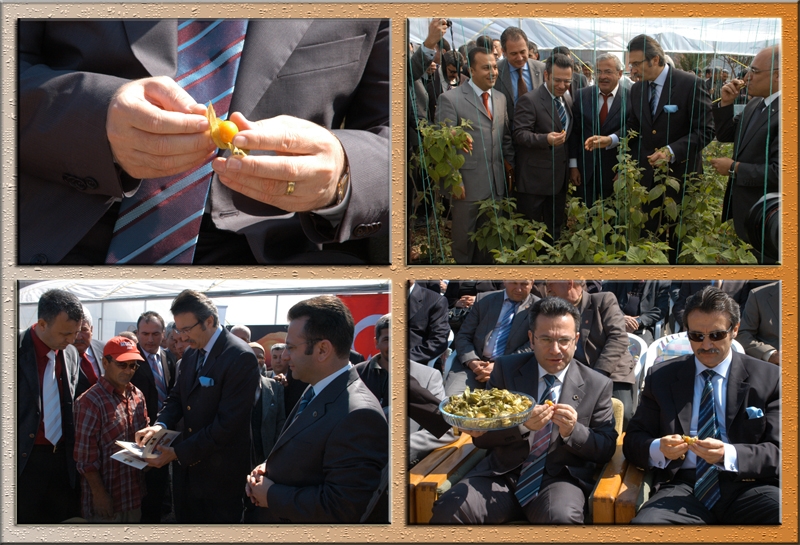 2009_03_13_184751_21_yerkirazi001.jpg