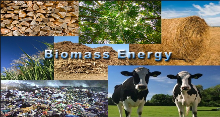 biomass_energy.jpg