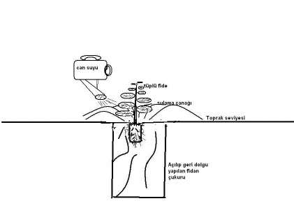 fide_dikimi_2.jpg