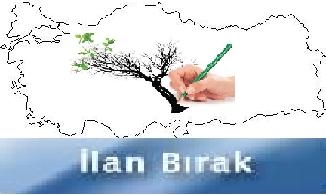 ilanver.jpg