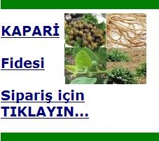 kapari_siparis.jpg