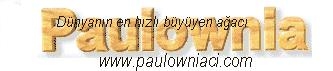 logo11.jpg