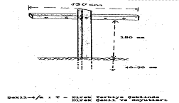 ostar-hayward-kiwi-5.gif