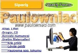 paulowniaci.com_siparis.jpg