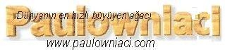 paulowniaci_logo.jpg