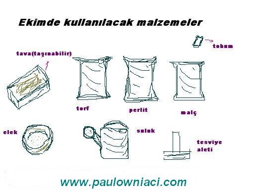 paulowniaci_malzemeler.jpg