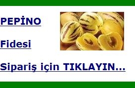 pepino_siparis.jpg