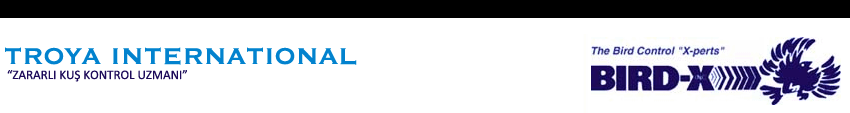 u_bnr.gif