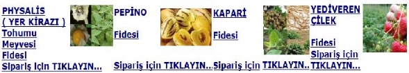 yerkirazi_pepino_kapari_cilek.jpg